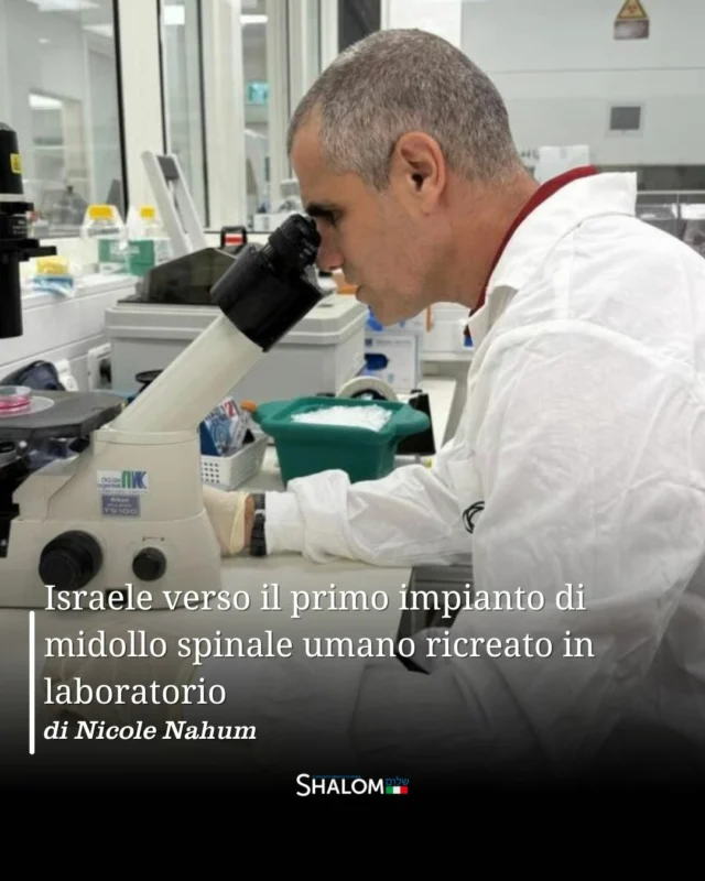 📲 Segui @shalom.it per non perderti tutti gli altri contenuti!

Un progresso che fino a pochi anni fa appariva irrealizzabile è oggi prossimo a diventare realtà. In Israele sarà realizzato il primo impianto di un midollo spinale umano ricostruito in laboratorio. Si tratta di un passo scientifico di straordinaria rilevanza, con un obiettivo socialmente utile, ossia quello di restituire la capacità di camminare a persone rimaste paralizzate a seguito di incidenti o lesioni traumatiche.
Il progetto è frutto del lavoro di un gruppo di scienziati dell’Università di Tel Aviv, guidati dal professor Tal Dvir, direttore del Sagol Center for RegenerativeBiotechnology e della Nanotechnology Unit. La tecnologia è stata sviluppata anche grazie alla startup biotecnologica Matricelf, fondata nel 2019 proprio per portare avanti questa innovazione.
Il punto di partenza è una constatazione: le cellule nervose che costituiscono il midollo spinale non si rigenerano spontaneamente. «Quando il midollo viene danneggiato la trasmissione dei segnali dal cervello ai muscoli si interrompe, un po’ come quando si spezza un cavo elettrico. Se le due estremità non si toccano, la corrente non passa e il corpo non risponde.»
Nel tempo, oltre al danno iniziale, si forma tessuto cicatriziale che isola ulteriormente le terminazioni nervose, rendendo impossibile il recupero.
Trovando la soluzione al problema, il team israeliano ha creato una sezione di midollo biocompatibile e costruita su misura per ogni paziente, così da evitare il rigetto. «Se l’impianto è estraneo al corpo, il sistema immunitario lo attacca, avvolgendolo in uno strato fibroso che blocca la conduzione elettrica», sottolinea Dvir.
Continua a leggere l'articolo su shalom.it