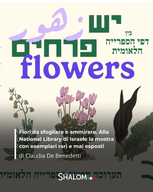 La Biblioteca Nazionale di Israele ha inaugurato la mostra “Flowers: leafing through the Collections of the National Library”, che propone oggetti rari che ripercorrono e raccontano il ruolo dei fiori nella Terra di Israele.

Leggi di più nell’articolo di @cladeben su Shalom.it