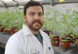 Da Tel Aviv la nuova frontiera nell’agricoltura
