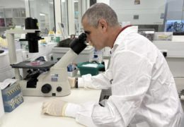 Israele verso il primo impianto di midollo spinale umano ricreato in laboratorio