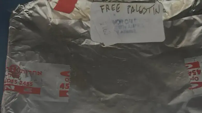 Scritta “Free Palestine” su pasto kosher a bordo di un volo