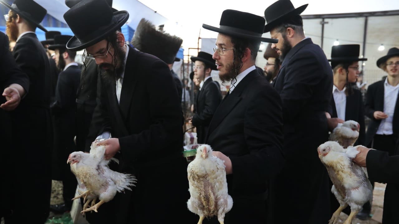 Il minhag delle kapparot con i polli: una tradizione da ripensare