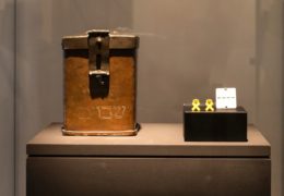 Le muse emergono dal profondo della gola