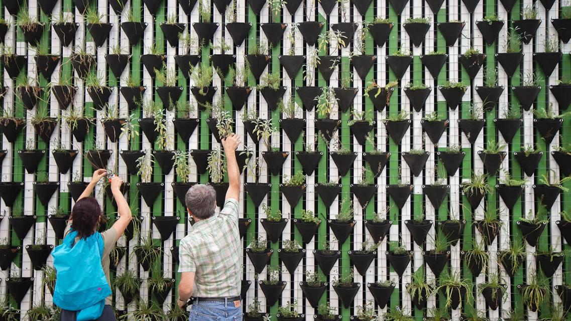 Verde dentro, verde fuori: la città si racconta attraverso l’ambiente