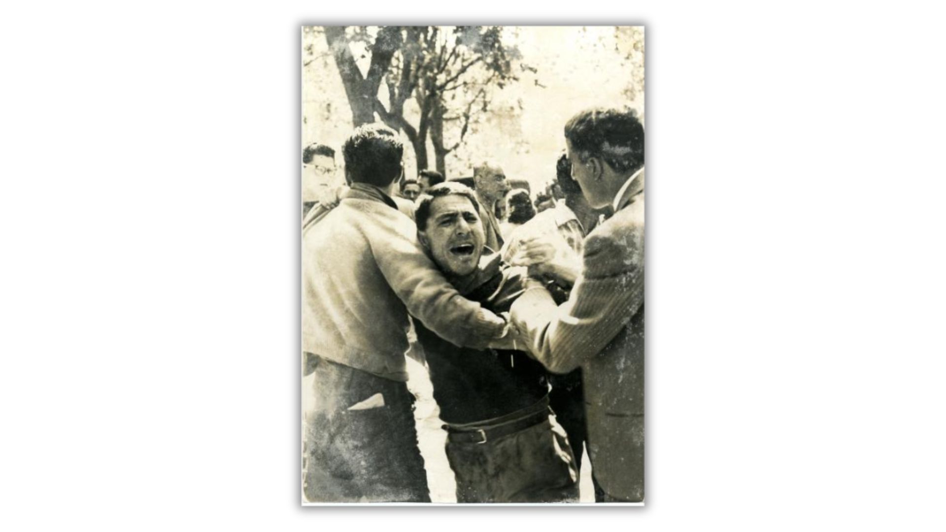 1958. Giovani missini contro gli ebrei di Roma