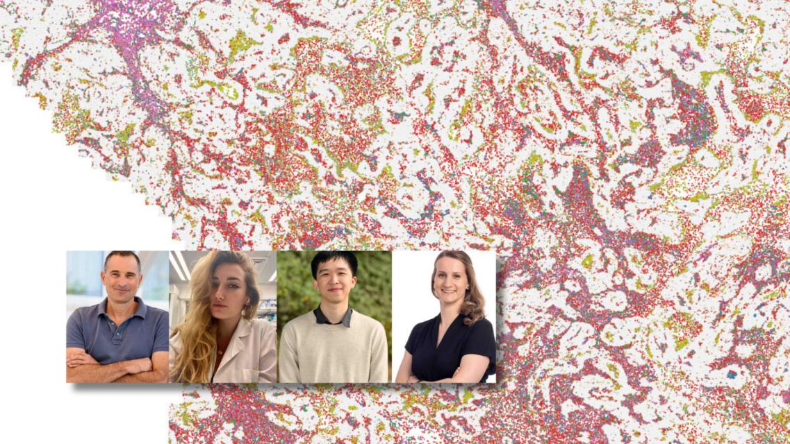 Dal Weizmann Institute una nuova immunoterapia per superare la resistenza ai trattamenti oncologici