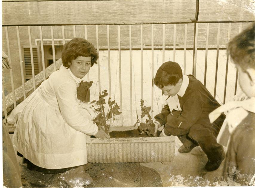 Ci vuole un fiore. Tu Bishvat, Roma 1955 Ci vuole un fiore. Tu Bishvat, Roma 1955