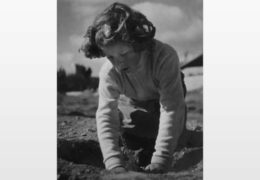 Tra tradizione e natura: le foto del KKL raccontano Tu Bishvat