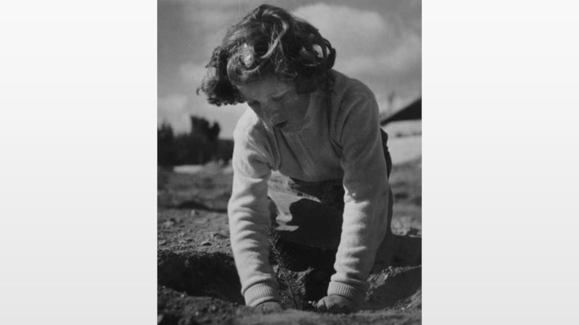 Tra tradizione e natura: le foto del KKL raccontano Tu Bishvat