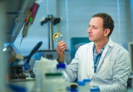 Farmaci prodotti direttamente dall’organismo: la rivoluzione proposta dai laboratori israeliani