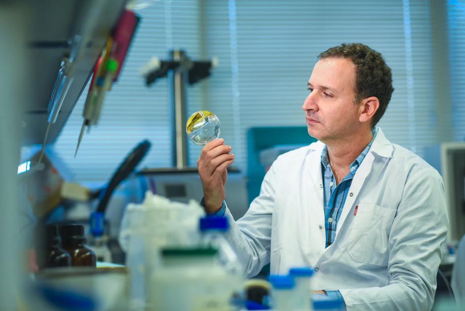 Farmaci prodotti direttamente dall’organismo: la rivoluzione proposta dai laboratori israeliani