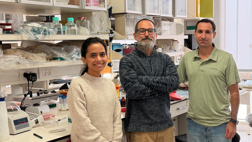 Psoriasi e malattie della pelle: meccanismo chiave svelato da uno studio israeliano