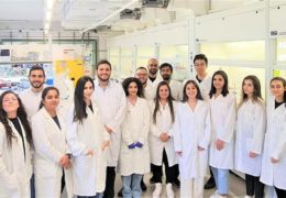 Ricerca: sviluppato un impianto ‘vivente’ che regola la produzione di insulina